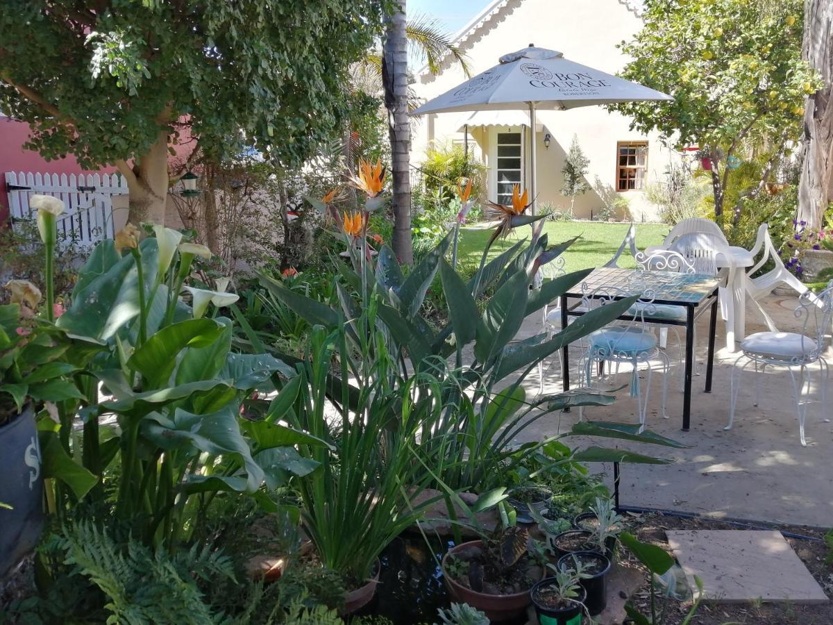 Bed and Breakfast Squirrels Corner Montagu Exteriér fotografie